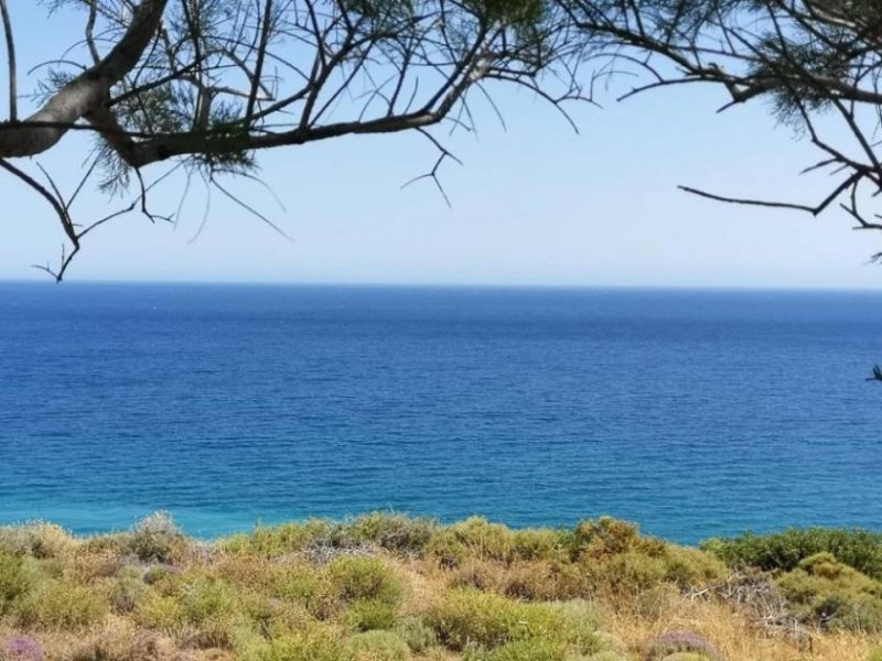 Mochlos Kreta, Mochlos: Baugrundstück mit Meerblick zu verkaufen Grundstück kaufen